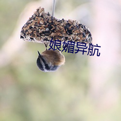 娘媚异(異)航