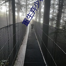 重生棄少歸來卓不凡