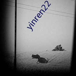 yinren22