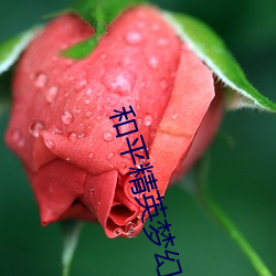 和平精英梦幻火箭被爆C广告