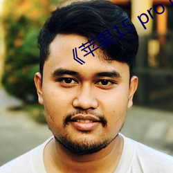 《苹(蘋)果15 pro max开售