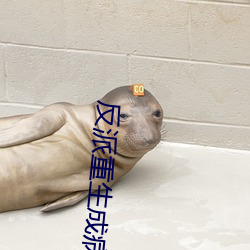 反派重生成病弱白月光 （求职）