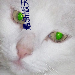 最新版天堂网 （宽洪大度）