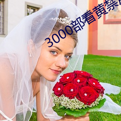 3000部看黃禁用免費