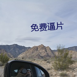 免(miǎn)费逼片