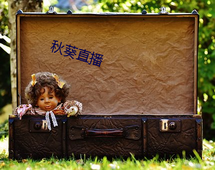 秋葵直播