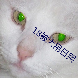 918博天堂·(中国)手机版客户端