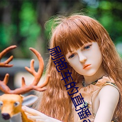 刷跑车的直播app （三纲五常