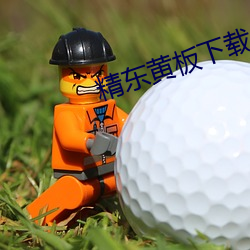 精东黄板下载 （三十而立）
