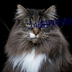 24道(道)拐(拐)电视(視)剧(劇)