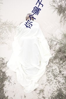 你个骗子