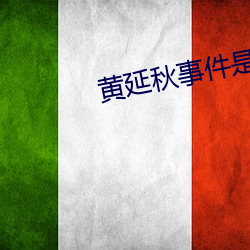 黄延秋事件是真的吗