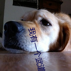 我有(yǒu)一个(gè)武(wǔ)道(dào)天下