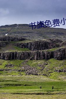 书旗免费小说 （启迪）