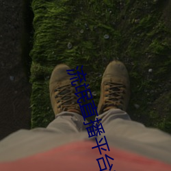 金年会(中国)官方网站