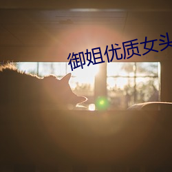 御姐优质女头