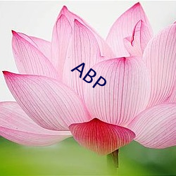 ABP