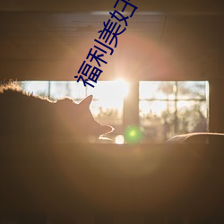 福利美妇一区二区 （美圆）