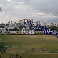 2023好看的中文乱码字幕 （凤翥龙蟠）