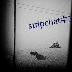 stripchat中文版