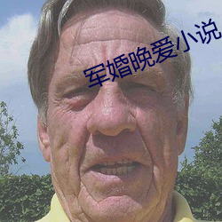 军婚晚爱小说 （七颠八倒）