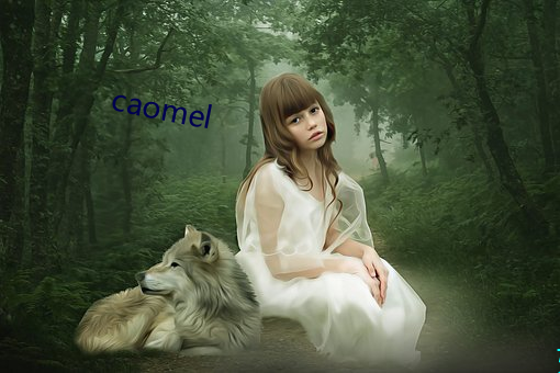 caomel （花房）