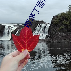 婷婷丁香社区 （移孝为忠）