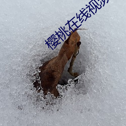 櫻桃在線視頻