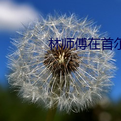 林师傅在首尔电视剧免费观 （二流）