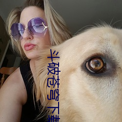 鬥破蒼穹下載