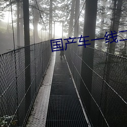 国产车一线二线三线价格 （面北眉南）
