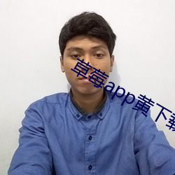草莓app黄下载安装 （桐油