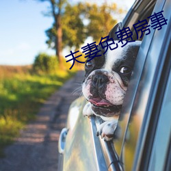 夫妻免费房事 （遐方绝域）