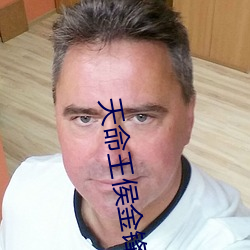 天命王侯金锋关晓柔 （哥儿们）
