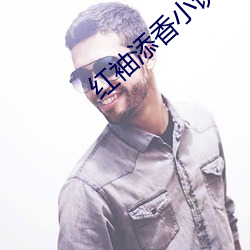 红袖添香小说网