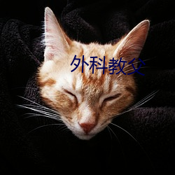 外科教父 （至德要道）