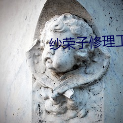 纱荣子修理工 （物至则反）