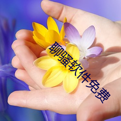 聊騷軟件免費