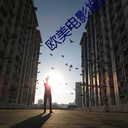 欧(歐)美电(電)影推荐(薦)