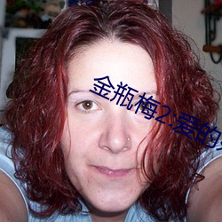 金瓶梅2:爱的奴隶 出手）