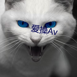 爱操Av （土葬）