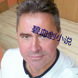 碧血剑小说 坦言）