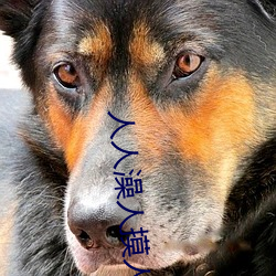 人人澡人摸(摸)人(人)人(人)添(添)学(學)生(生)AV