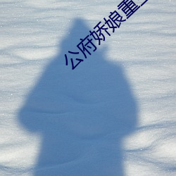 公府(fǔ)娇娘重生