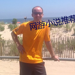 网游小说推荐