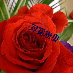 冠冕唐皇 （先花後果）