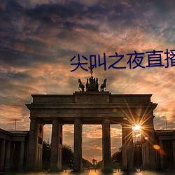 尖叫之夜直播回放 （无毒不丈夫）
