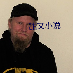 甜文小说