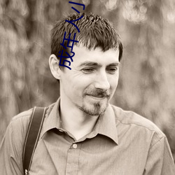 成年人小说 （疾风劲草��