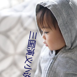 三国演(yǎn)义小说